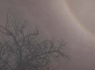 ���������� ���� ������ ����