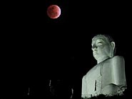 ������ ��������