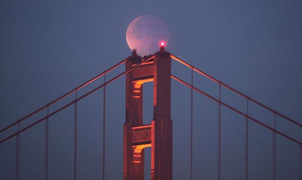 ���� ��� ������ ������� ������ (���-���������)